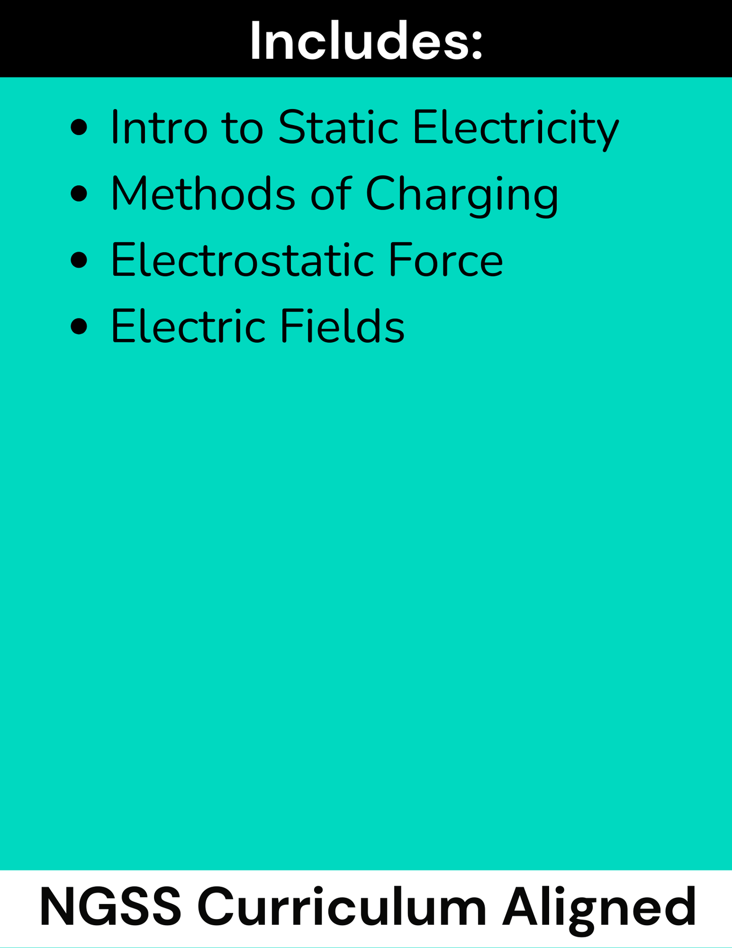 High School Physics Static Electricity: Complete Assignment Bundle NGSS Aligned